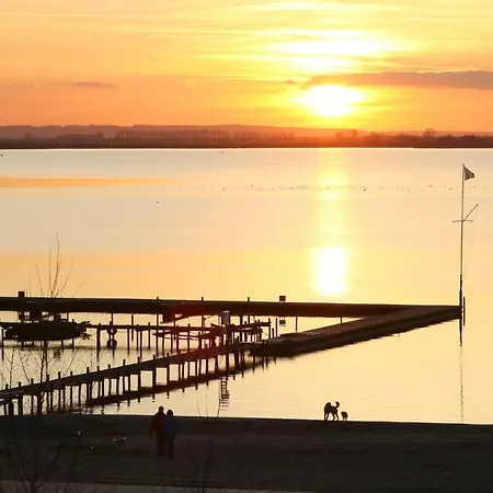 Amazing In Lembruch-duemmer With Sauna Holiday home Lembruch
