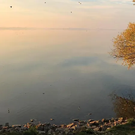 Amazing In Lembruch-duemmer With Sauna Holiday home Lembruch